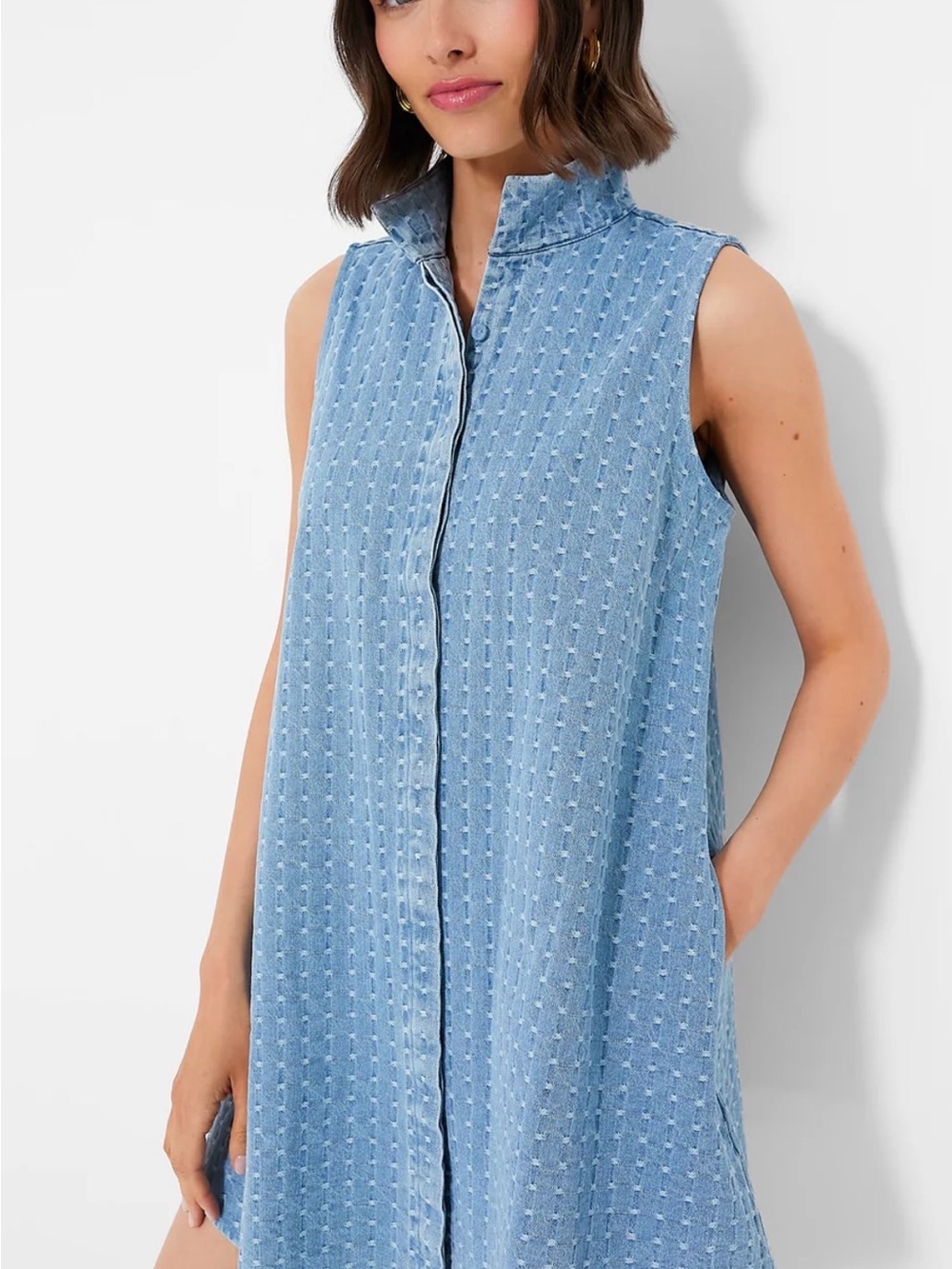 Tuckernuck Sleeveless Chambray Blue Button-Front Mini Dress